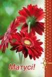 Открытка "Матусі"