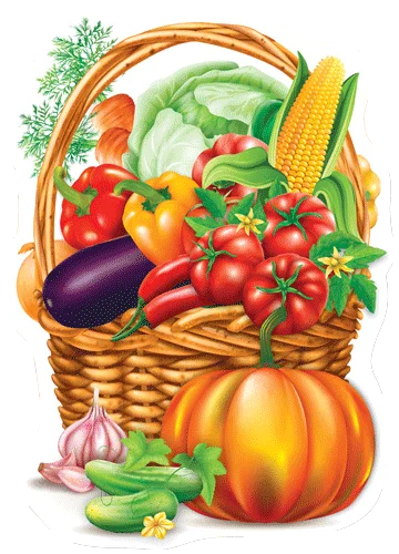 Плакат "Овощи"