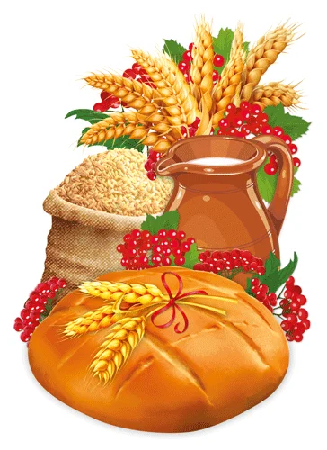 Плакат