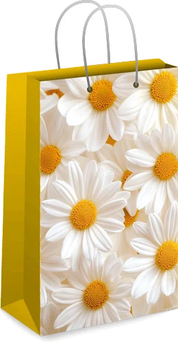 Пакет малый