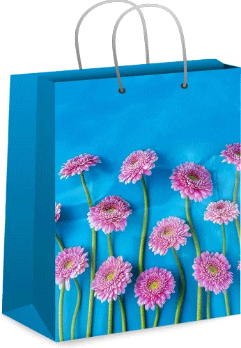 Пакет квадрат