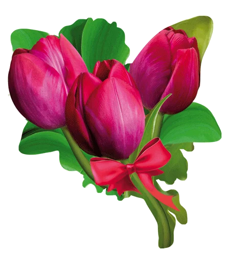 Вирубка мала